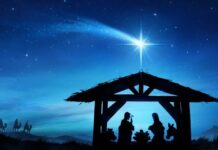 Navidad / Por Ceiba